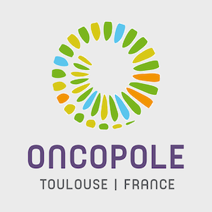 logohopitauxdetoulouse